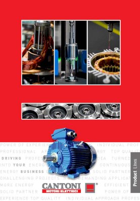 5534_album_cantoni_motori_www_page.pdf