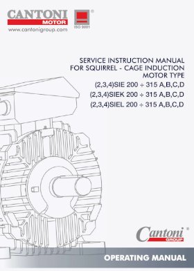 7037_ie3_fs_200_315_mm_manual_en.pdf