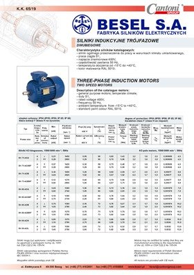 4844_besel_silniki_wielobiegowe_catalogue_pl_en.pdf