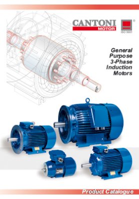 4433_ie1_catalogue_en.pdf