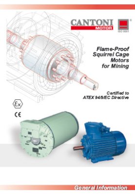 4431_flame_proof_for_mining_catalogue_en.pdf