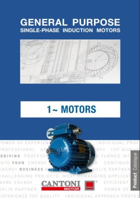 6136_single_phase_catalogue_en.pdf