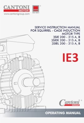 4377_ie3_fs_200_315_mm_manual_en.pdf