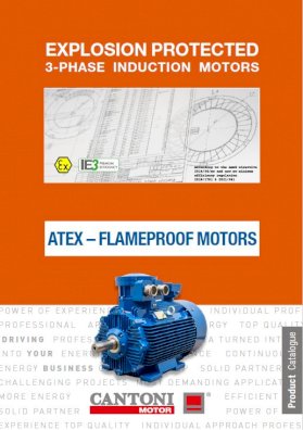 6077_atex_catalogue_ie3.pdf