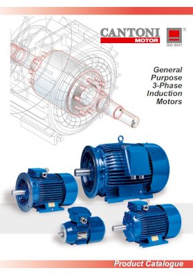 6491_ie1_catalogue_en.pdf