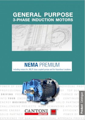 7342_nema_catalogue_ie3_2024.pdf