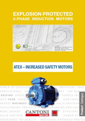 7381_cantoni_increased_safety_en.pdf